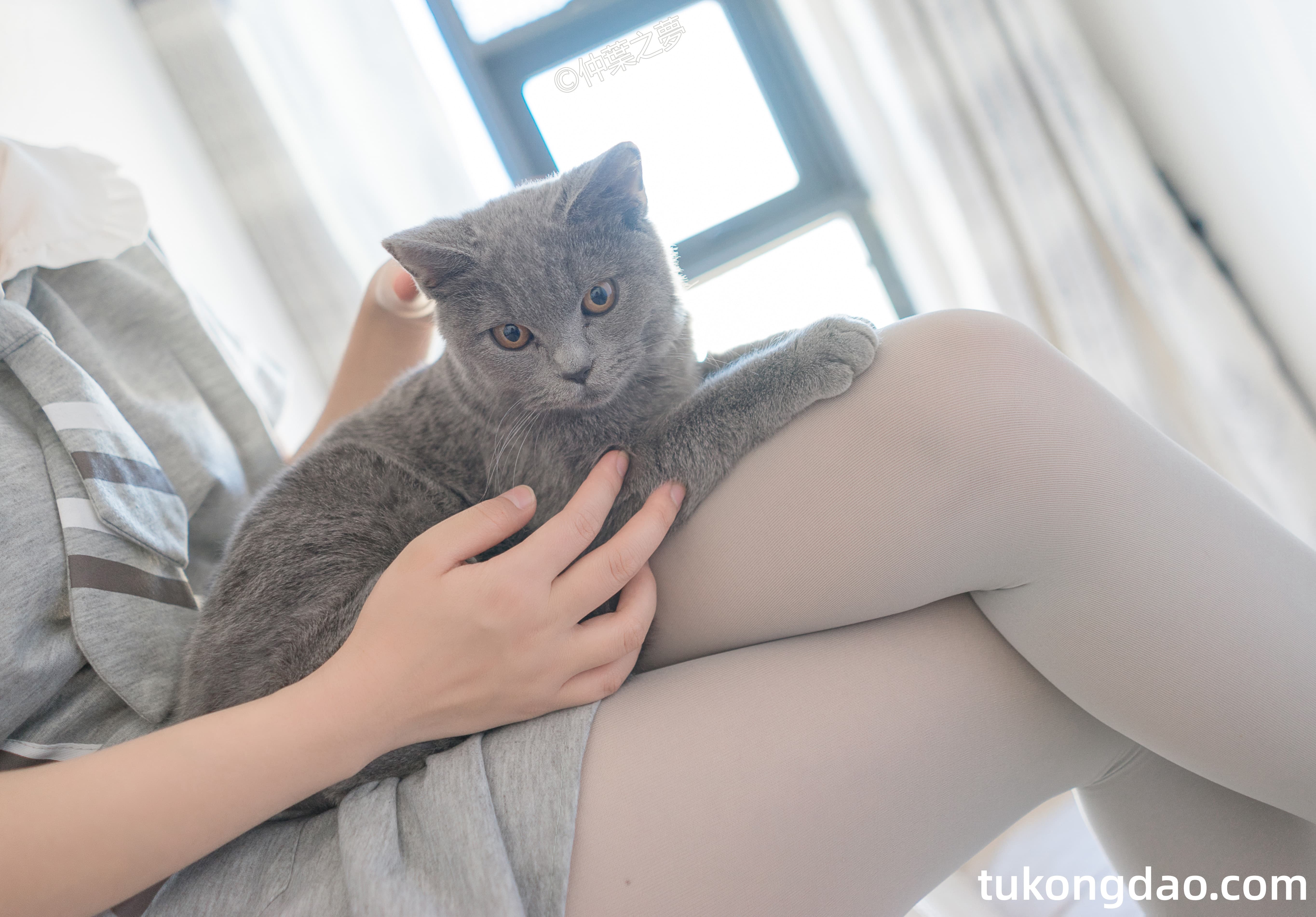 轻兰映画 SPL.014 写真集 写真系列-第18张